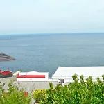Elena Ischia *