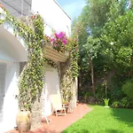 Elena Ischia *