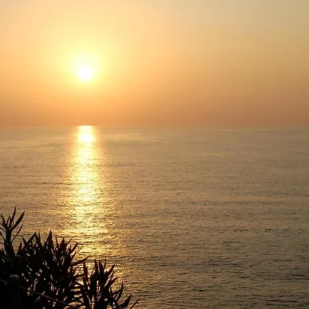 Elena Ischia *