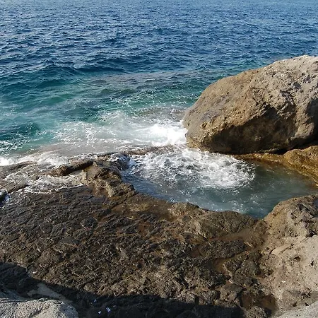 Elena Ischia